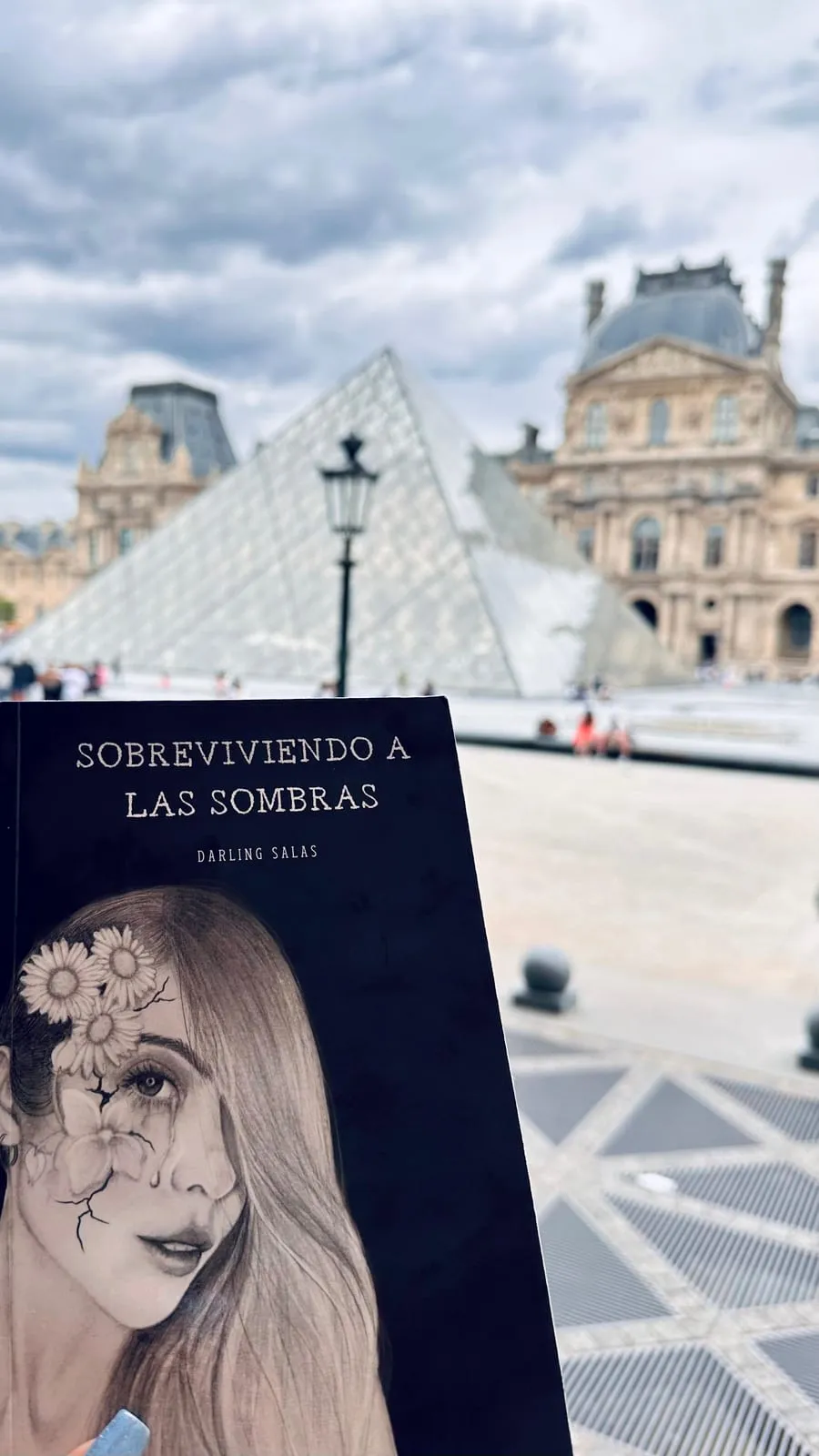 Sobreviviendo a las sombras de viaje