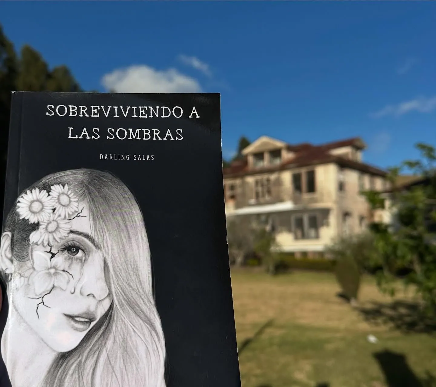 Sobreviviendo a las sombras de viaje