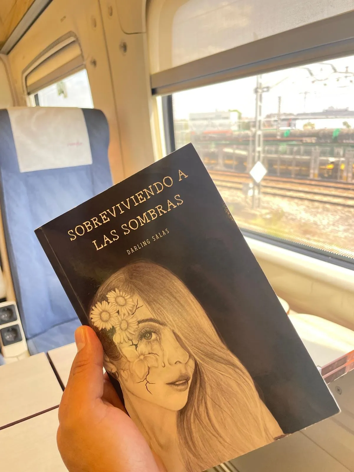 Sobreviviendo a las sombras de viaje