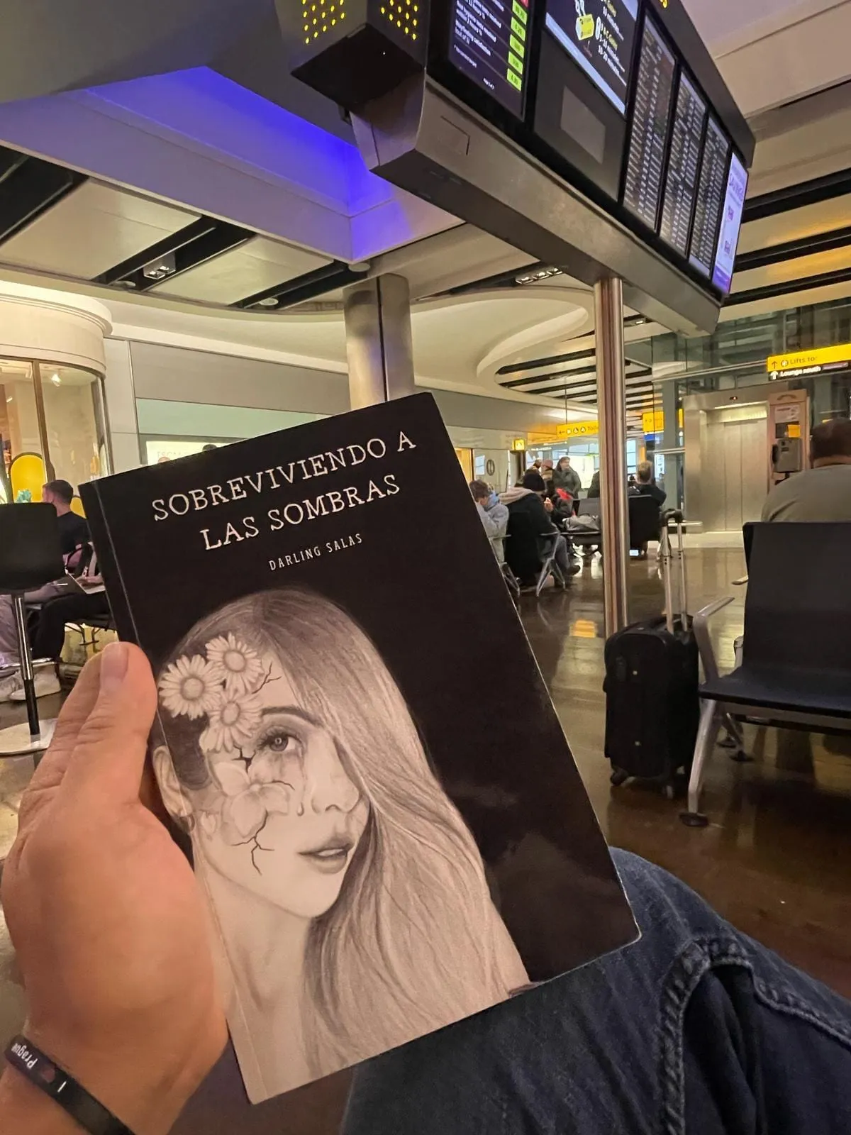 Sobreviviendo a las sombras de viaje