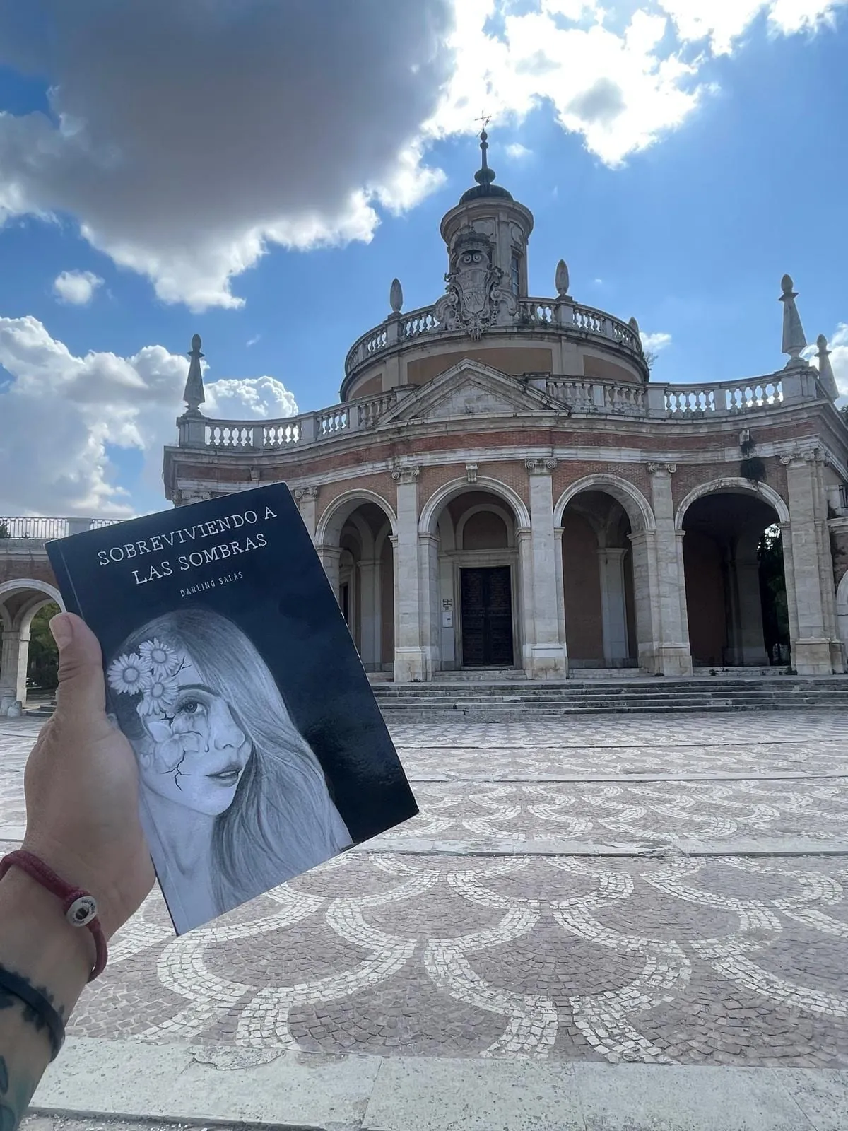 Sobreviviendo a las sombras de viaje