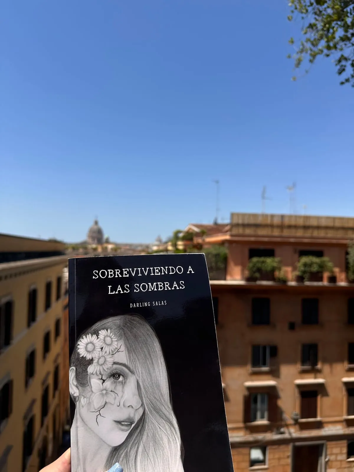 Sobreviviendo a las sombras de viaje