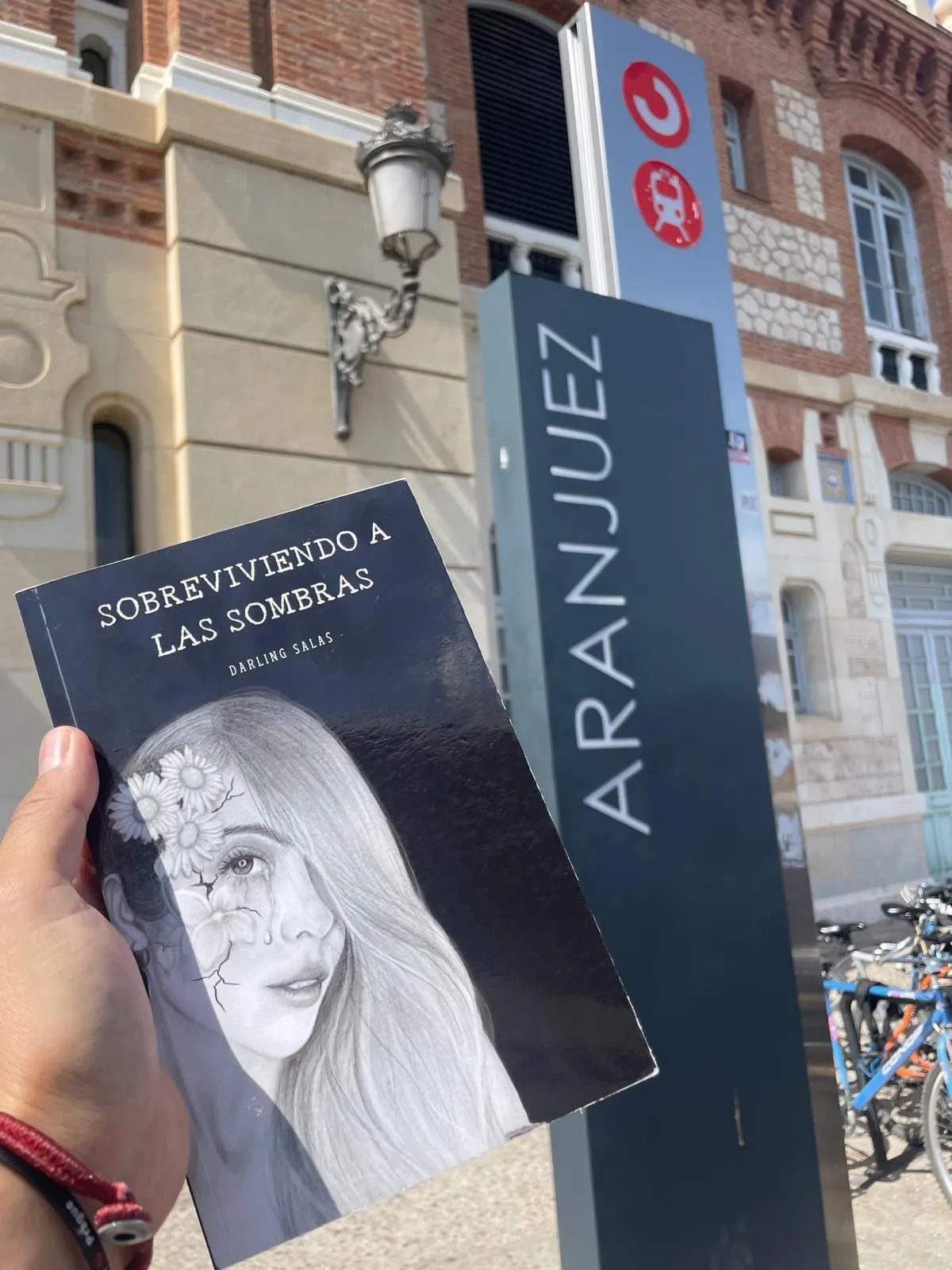 Sobreviviendo a las sombras de viaje
