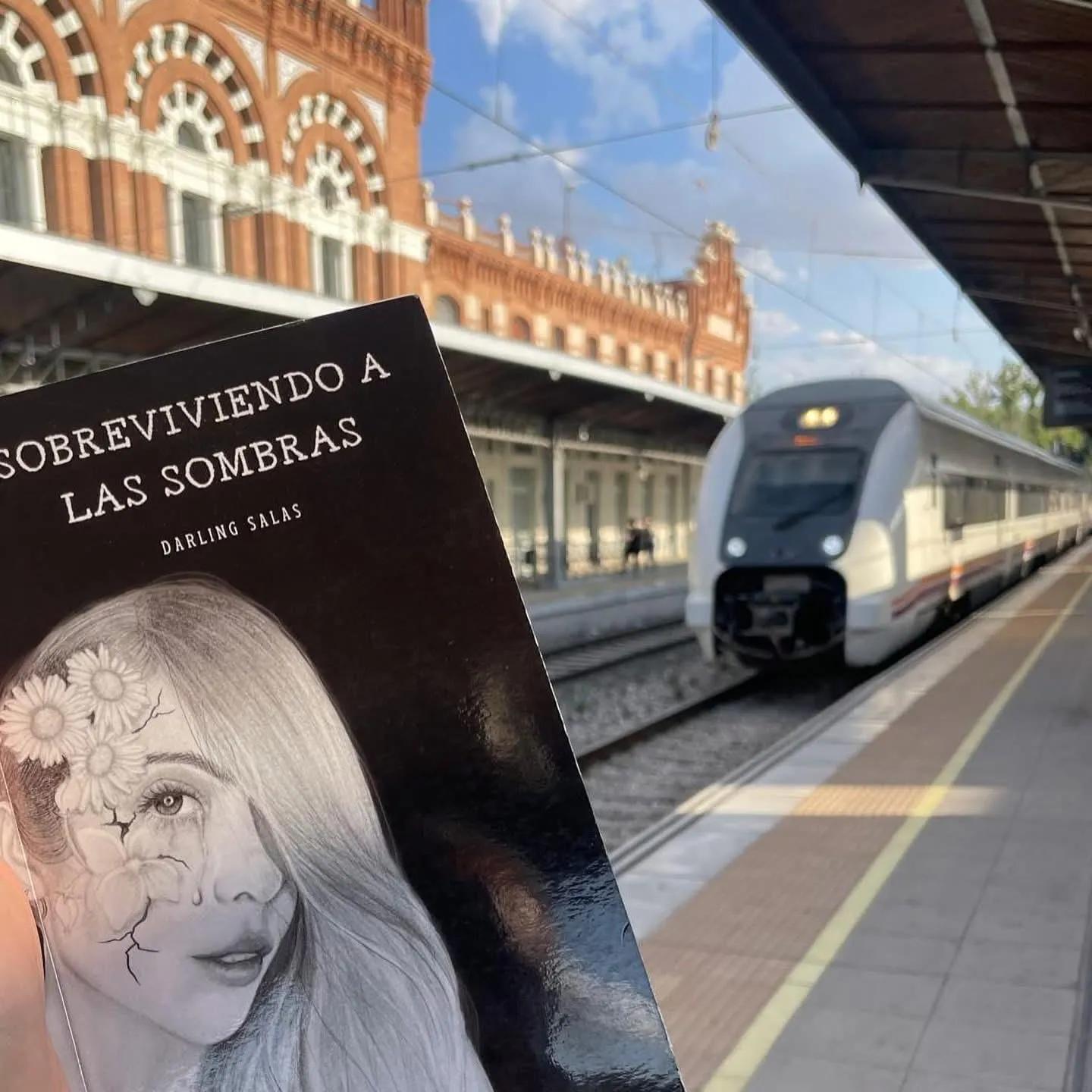 Sobreviviendo a las sombras de viaje
