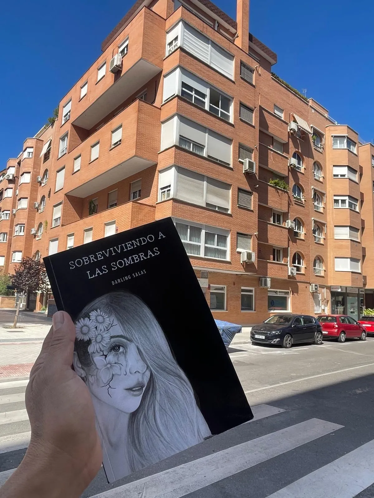 Sobreviviendo a las sombras de viaje